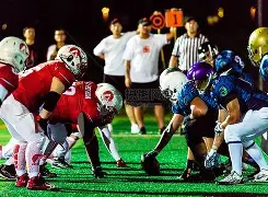 橄榄球邀请赛焦点战：洞庭天狼队逆转皖江白虎队，客场强势带走胜利。回归即成焦点的简单介绍